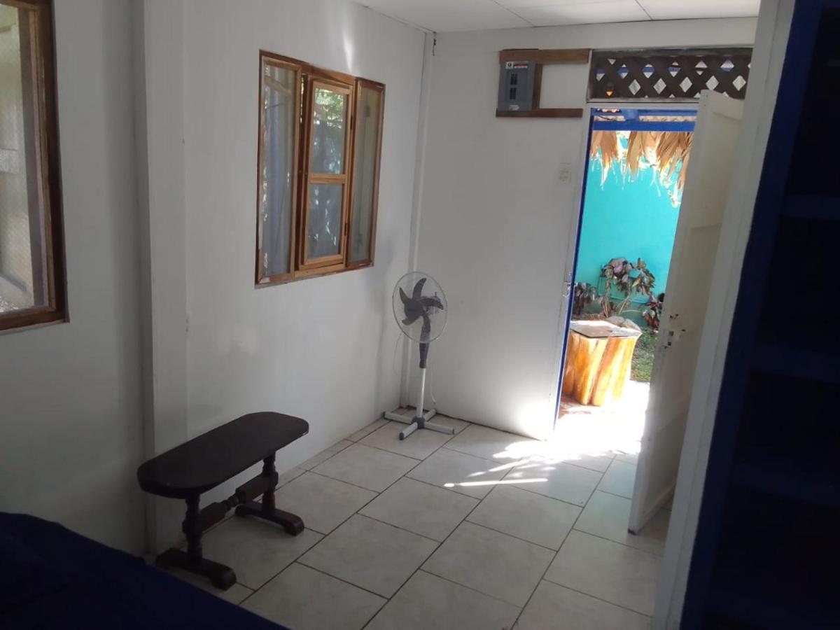 Puerto Viejo de Talamanca Mar Caribe Pv酒店 外观 照片