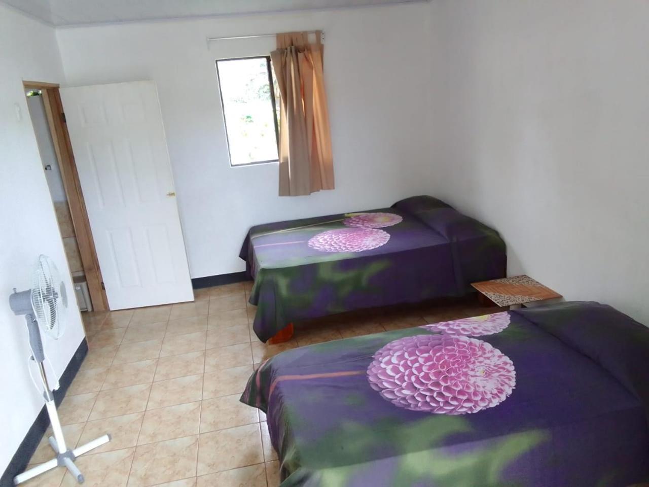 Puerto Viejo de Talamanca Mar Caribe Pv酒店 外观 照片
