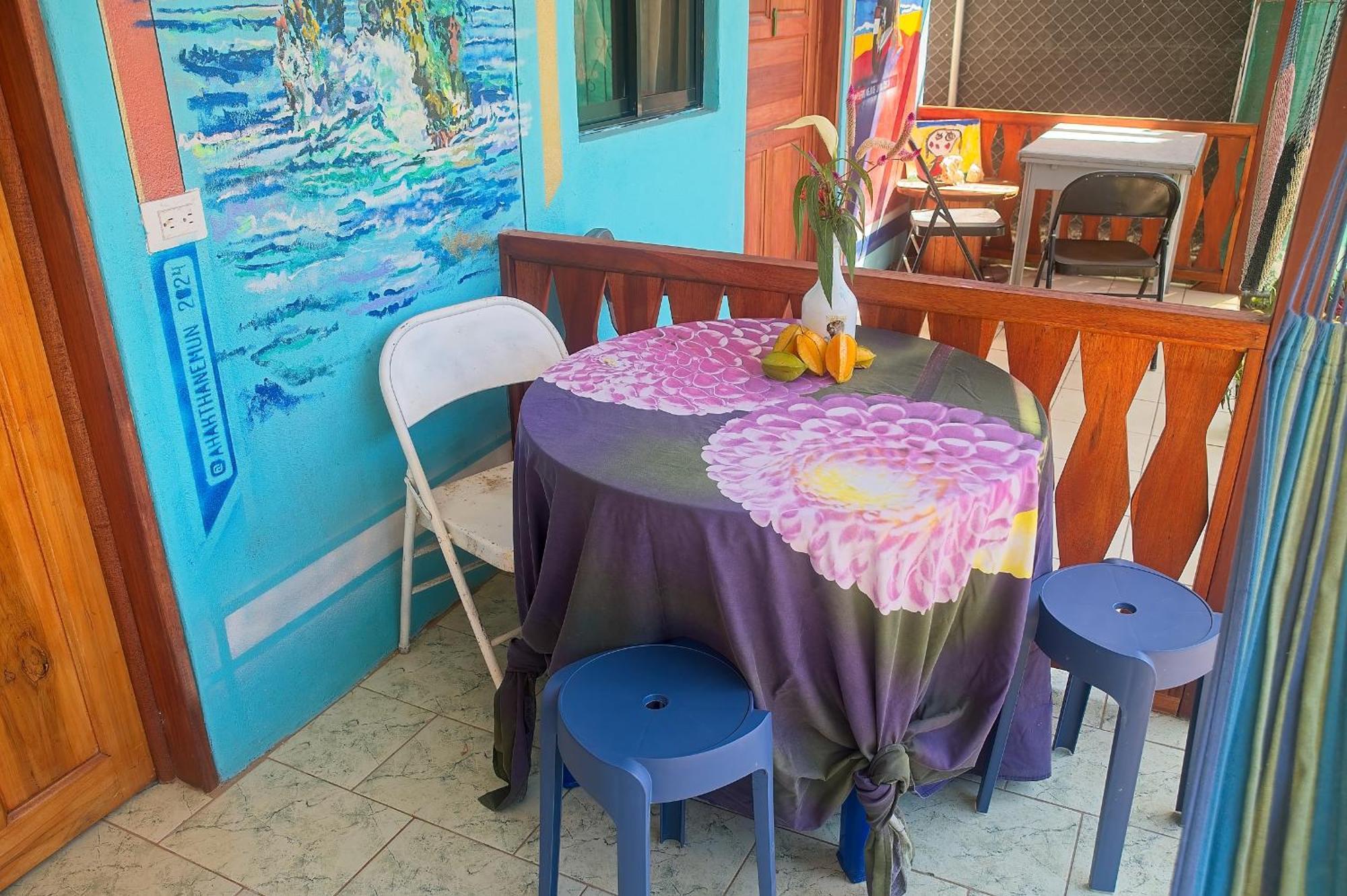 Puerto Viejo de Talamanca Mar Caribe Pv酒店 外观 照片