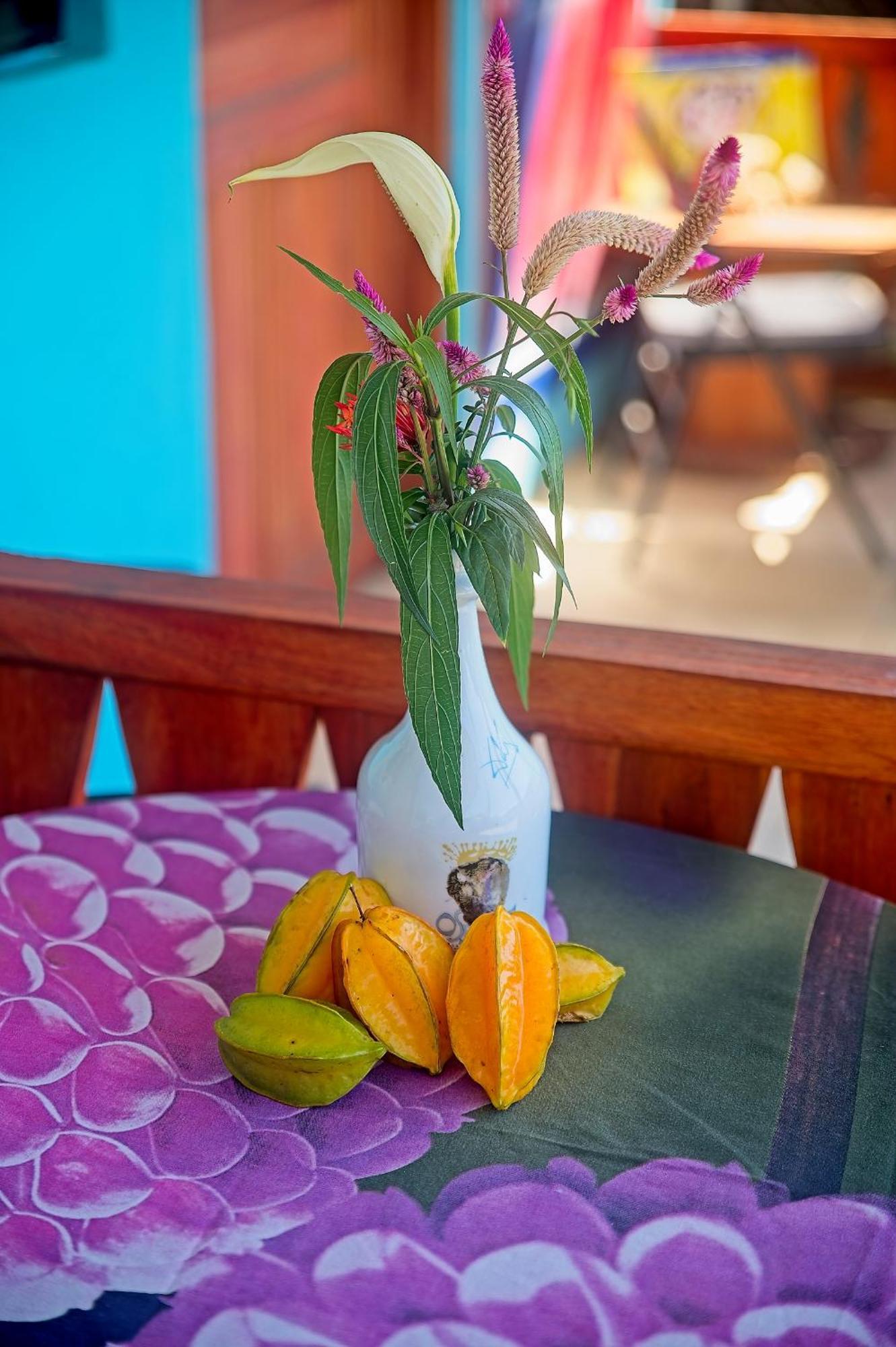 Puerto Viejo de Talamanca Mar Caribe Pv酒店 外观 照片